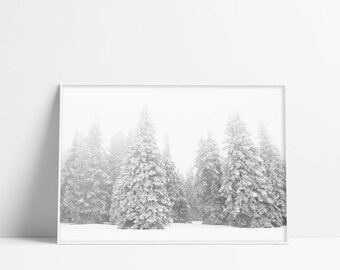 Snow Covered Trees Etsy
