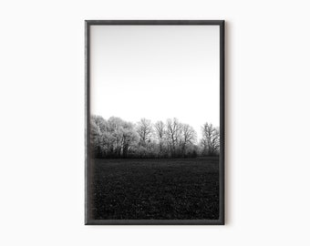 Arte de pared del bosque en blanco y negro / Arte de la naturaleza abstracta imprimible / Descarga instantánea #0008