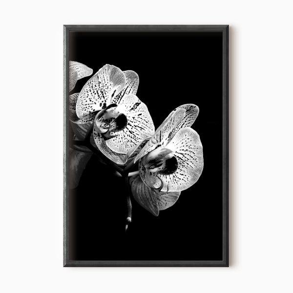 Orchid Photography | Printable Black And White Flower Print DOWNLOAD     #0014