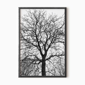 Black Tree Print | Black And White | Tree Wall Art | Minimalist Art | Nature Photography | Woodland Art | Tree Branches PRINTABLE ART  #0009