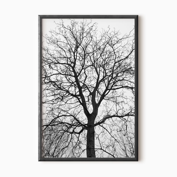 Black Tree Print | Black And White | Tree Wall Art | Minimalist Art | Nature Photography | Woodland Art | Tree Branches PRINTABLE ART  #0009