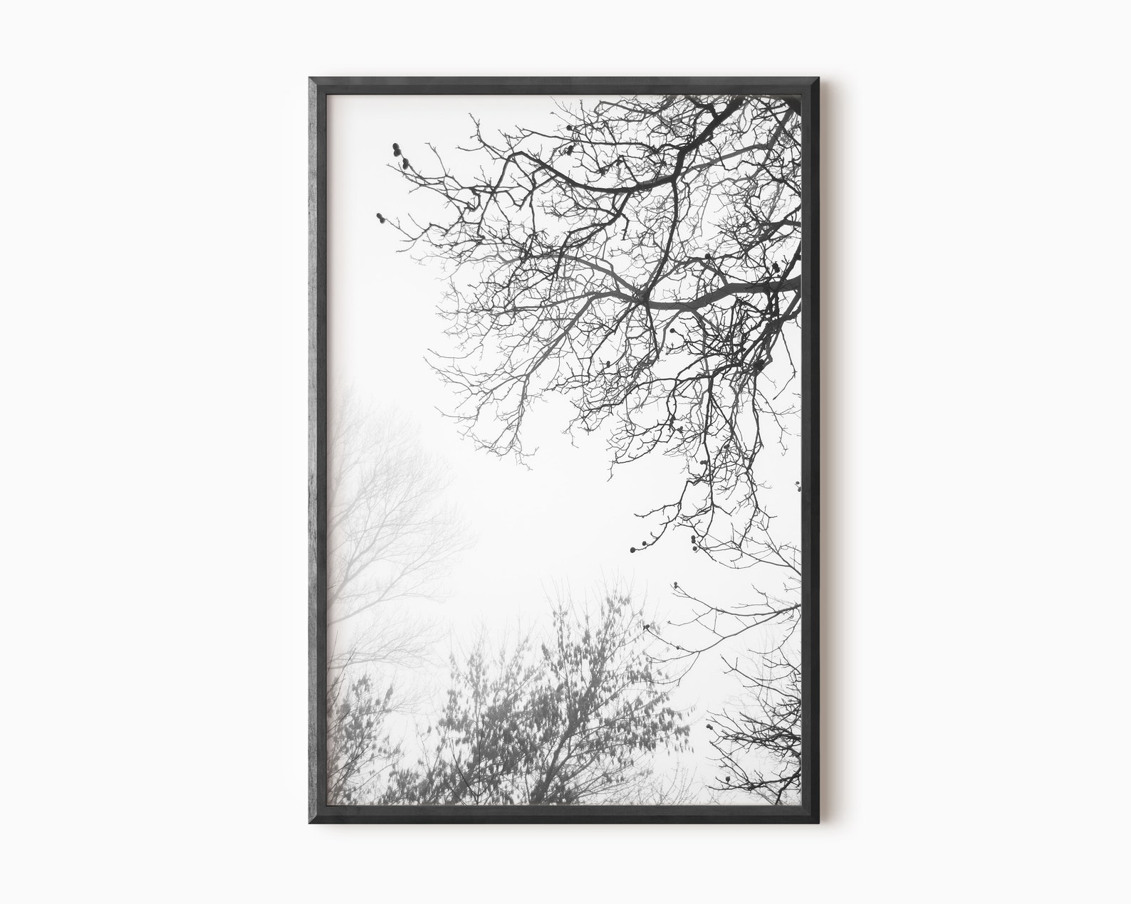 Tree Wall Art Black and White Art Nature Prints Nordic | Etsy