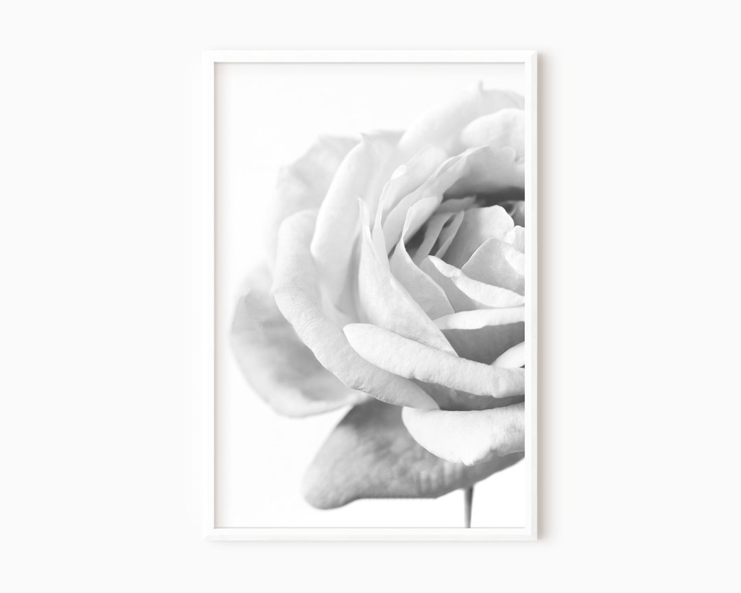 Black and White Rose Art | Flower Photography | Minimalist Wall Art ...