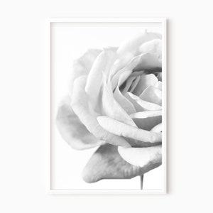 Arte de rosas en blanco y negro / Fotografía floral / Arte mural minimalista / Póster floral / Impresiones de arte moderno / Imagen de rosas n.° 0330