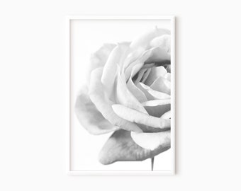 Black And White Rose Art | Flower Photography | Minimalist Wall Art | Floral Poster | Modern Art Prints | Rose Picture  #0330