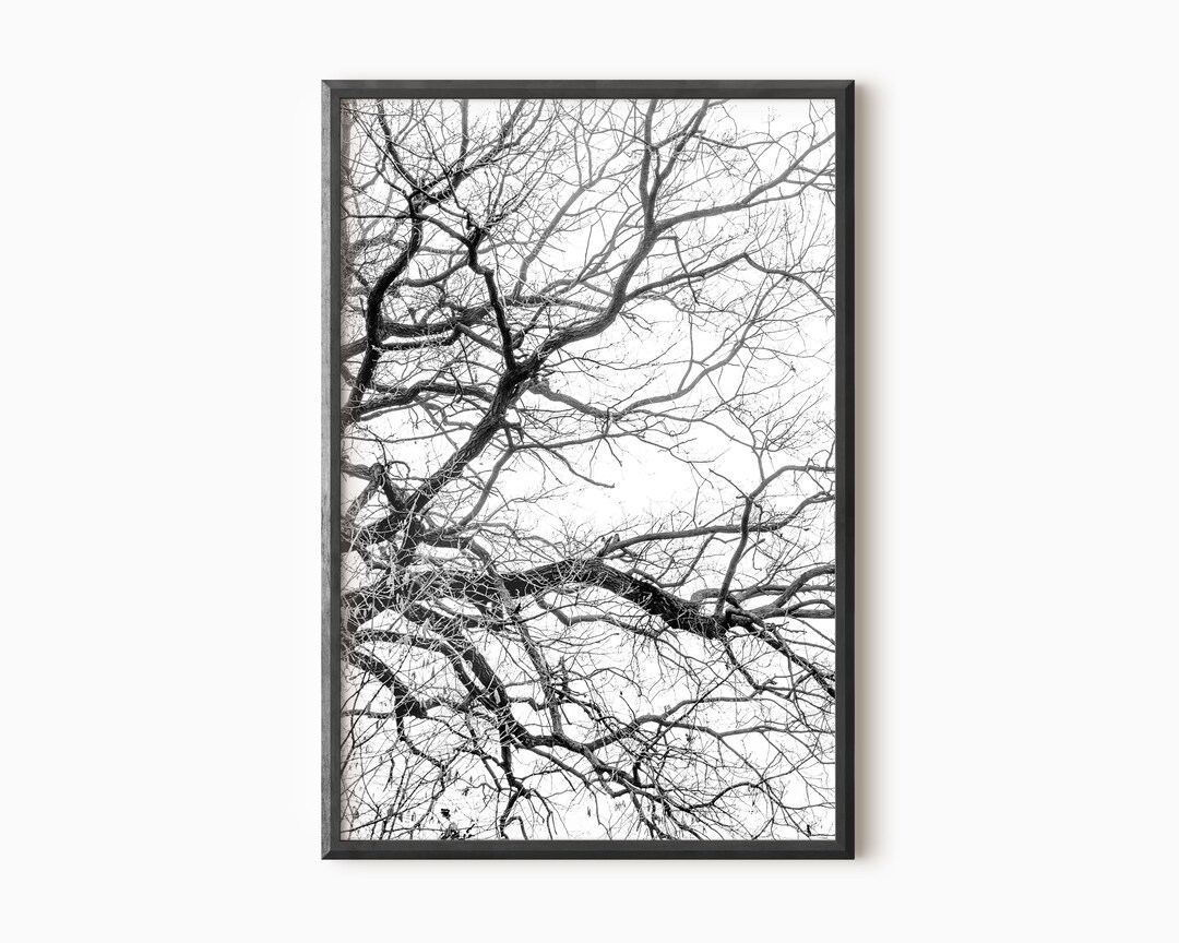 Tree Branch Print Nature Wall Art Black and White Tree Wall Art Forest