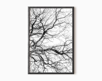 Tree Branch Print Nature Wall Art | Black And White Tree Wall Art | Forest Branches | Tree Photography Digital Download   #0471