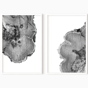 Tree Rings Print Set Of 2 | Black And White Modern Minimalist Decor | Log Slice | Wood Prints Set Of 2 Printable Wall Art   #0451