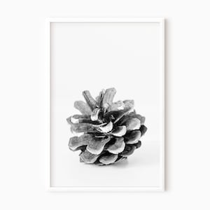 Pine Cone Print Instant Download | Printable Black And White Pine Cone Wall Art    #0556