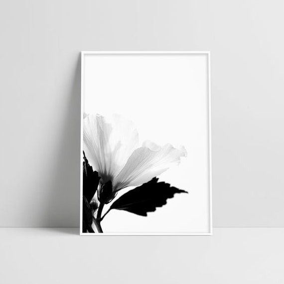 Black And White Botanical Art Prints Plants Wall Art Flower | Etsy
