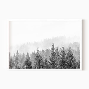 Forest Wall Art | Printable Mountain Print | Black And White Photography Instant Download    #0581