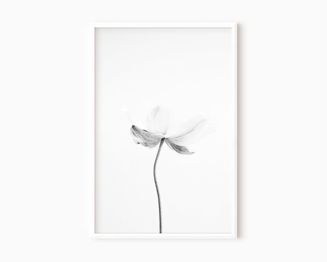 Flower Prints Black and White | Downloadable Bedroom Prints