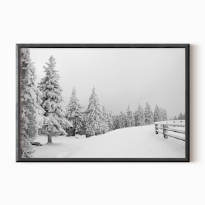 Winter Landscape Print | Downloadable Forest Printable Wall Art  #0121