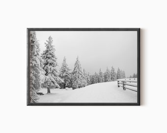 Winter Landscape Print | Downloadable Forest Printable Wall Art  #0121