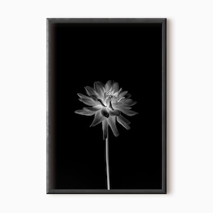 Dark Floral Wall Art | Printable Black Botanical Art | Instant Download   #0695