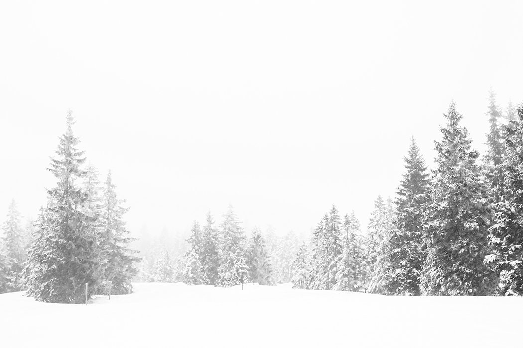 Winter Wall Decor Minimalist Wall Art Black and White Etsy