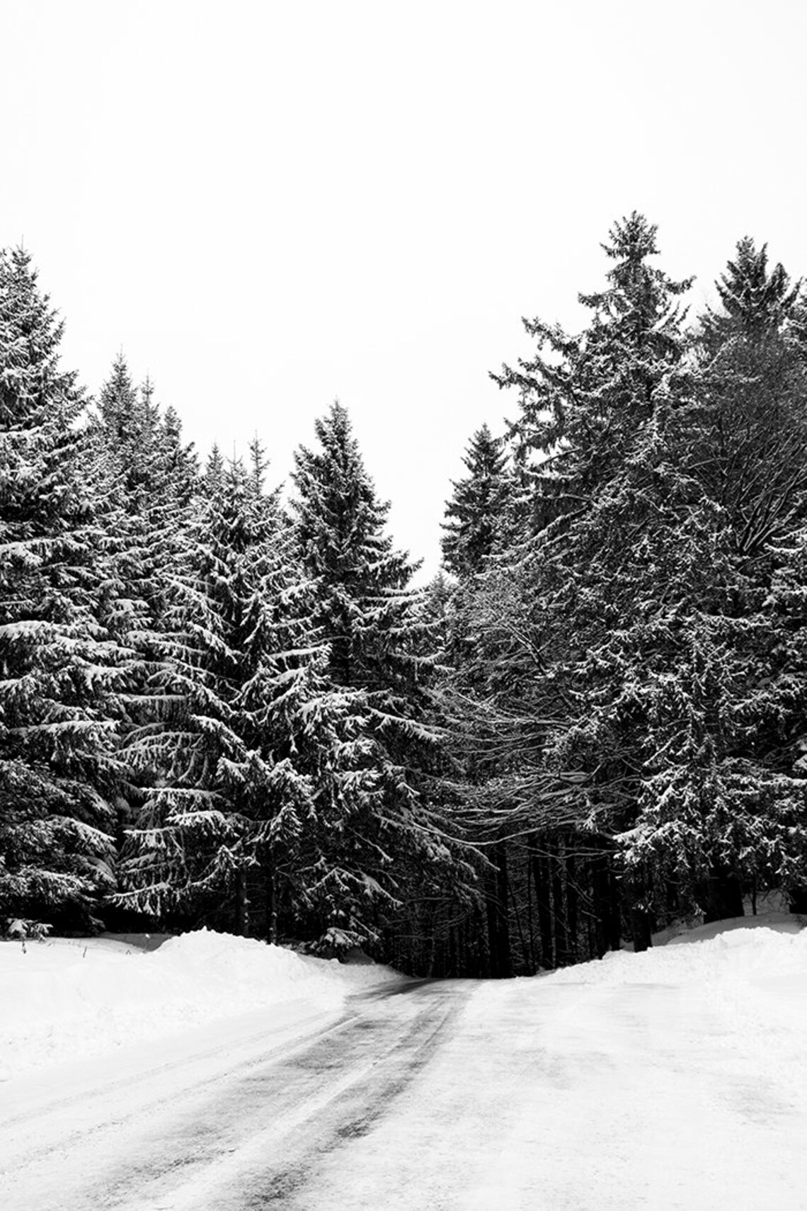 printable-forest-art-pine-tree-forest-black-and-white-winter-etsy