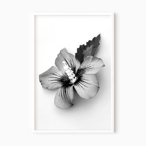 Hibiscus Print | Printable Floral Wall Art DOWNLOAD     #0135