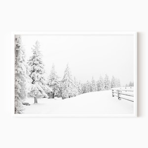 Snow Covered Forest | Winter Landscape Photography | Printable Art   #0674