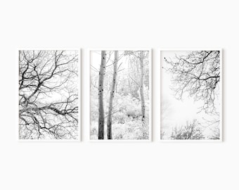 Conjunto de 3 impresiones de bosque / Impresiones de naturaleza en blanco y negro / Póster imprimible de ramas desnudas de árboles / Arte digital de pared de naturaleza n.° 0595