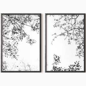 Tree Branches Set Of 2 Prints| Black And White Wall Art Set Of 2 | Printable Forest Photography | Downloadable Prints  #0616