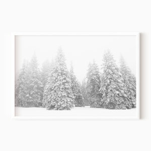 Winter Forest Print | Snow Covered Trees | Snowy Forest | Nordic Winter Poster | Forest Landscape -PRINTABLE WALL ART   #0497