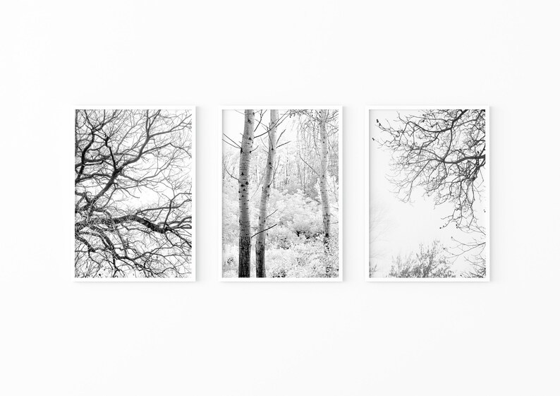 Forest Wall Art Set of 3 Prints Black and White Art Wall Etsy
