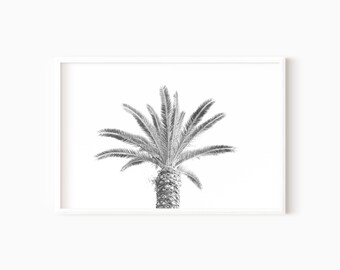 Palm Tree Print | Black And White Beach Prints - PRINTABLE WALL ART   #0716