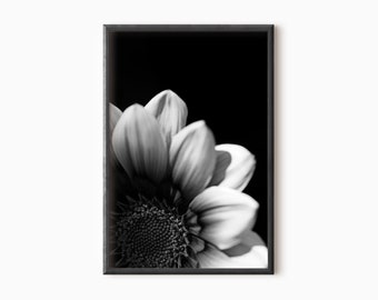 Flower Art | Black And White Flower Photography | Minimalist Flower | Floral Wall Art | Botanical Print   #0458