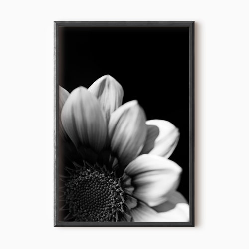Flower Print Printable Art Black and White Prints Floral - Etsy