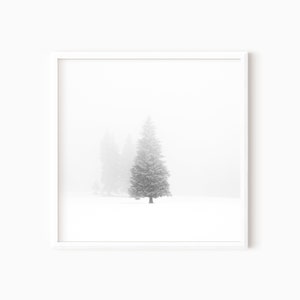 Black And White Tree Print | Minimalist Downloadable Prints | Instant Download  #0488