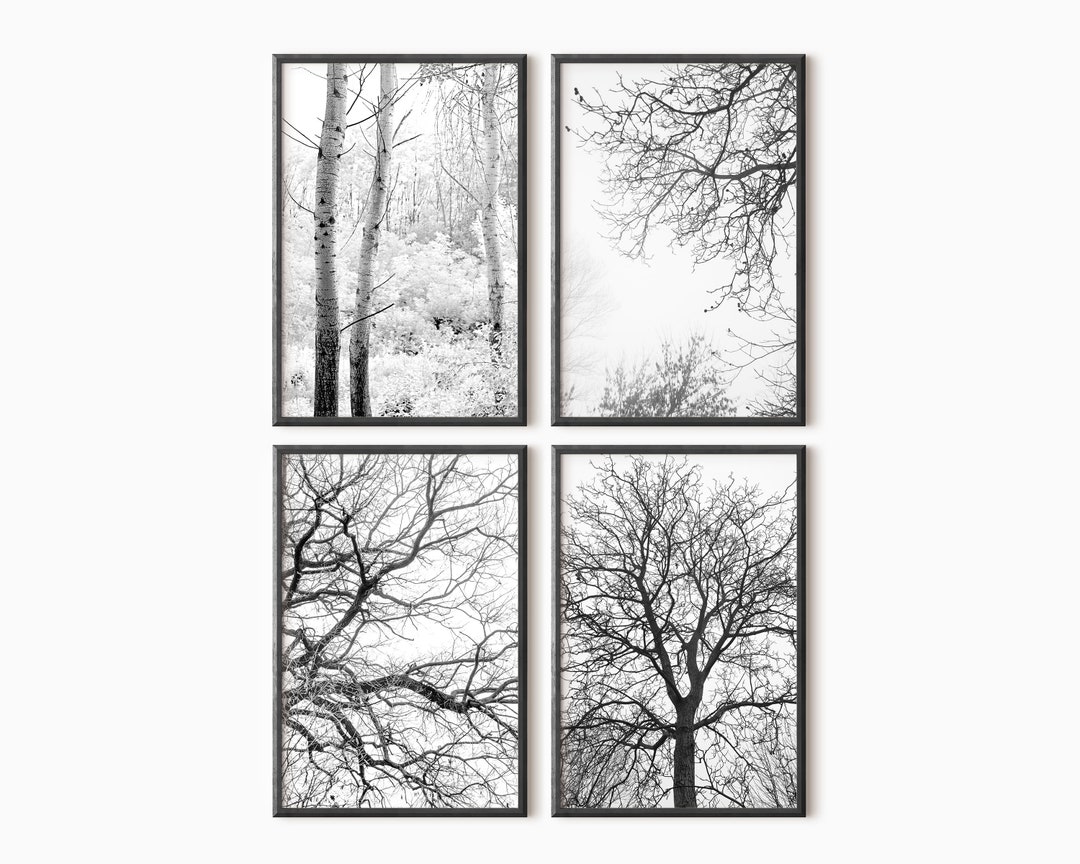 Forest Print Set of 4 | Forest Gallery Wall Set | Black and White ...