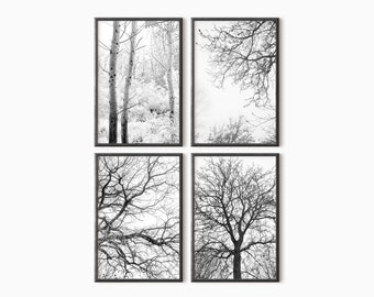 Forest Print Set Of 4 | Forest Gallery Wall Set | Black And White Nature Prints | Art Downloadable Set | Printable Forest Photography  #0653