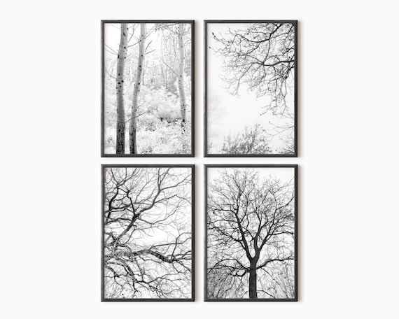 Forest Print Set of 4 Forest Gallery Wall Set Black and - Etsy