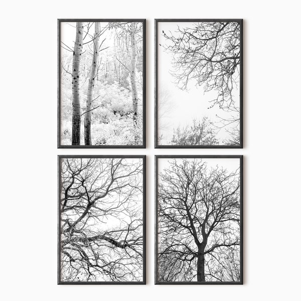 Forest Print Set Of 4 | Forest Gallery Wall Set | Black And White Nature Prints | Art Downloadable Set | Printable Forest Photography  #0653