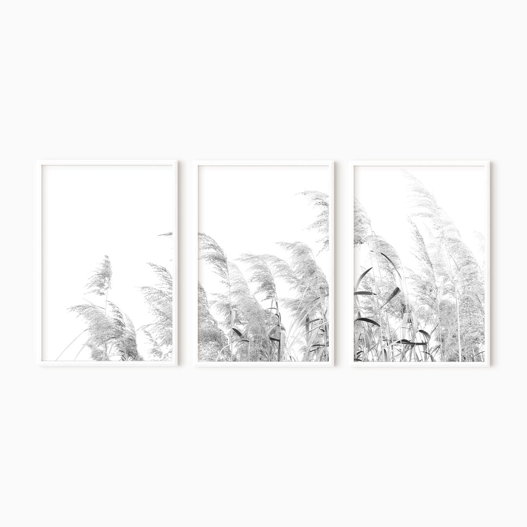 Set of 3 Botanical Prints | Black and White Grass Print Printable ...