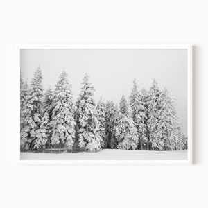 White Forest Print | Printable Winter Photography DOWNLOAD   #0125