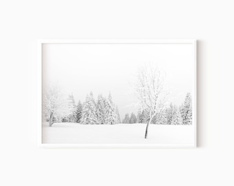 Winter Snow Scene | Winter Landscape Photography | Snowy Prints | Black And White Winter Wall Art | Farmhouse Christmas Prints   #0666