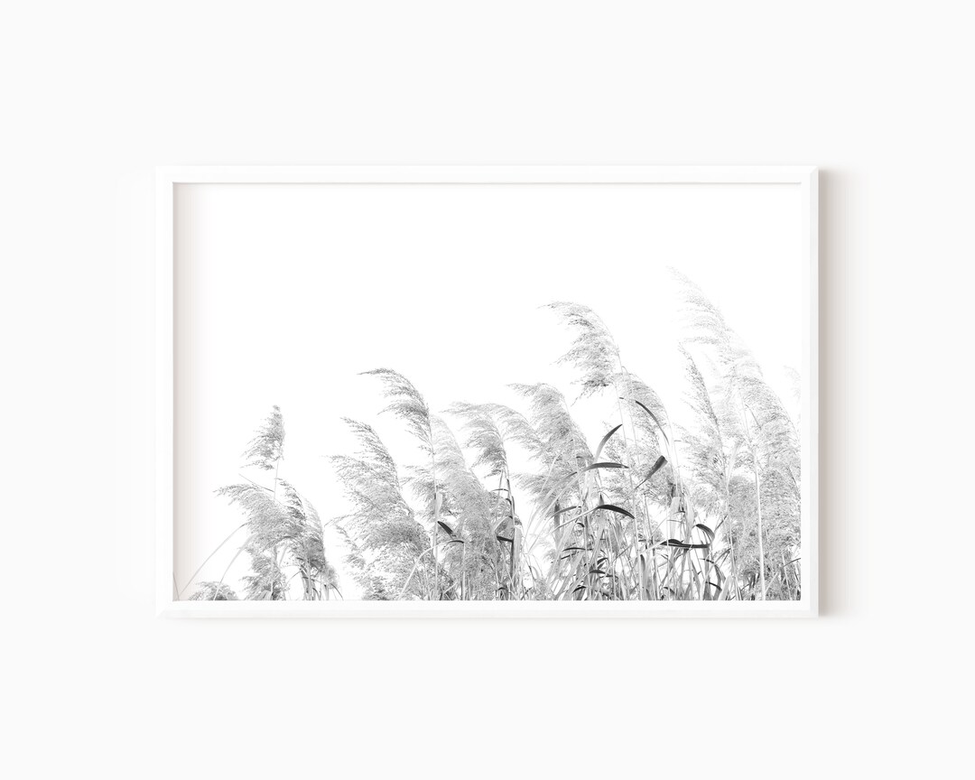 Black and White Farmhouse Print Rustic Grass Photo Printable Wall Art