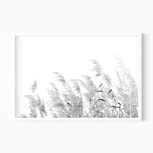 Zwart-witte boerderijprint | Rustiek gras foto | Afdrukbare muurkunst #0445