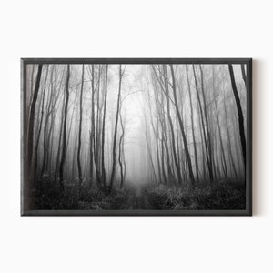 Art mural forêt sombre | Photographie de forêt imprimable en noir et blanc TÉLÉCHARGEMENT #0689