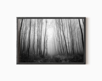 Dark Forest Wall Art | Black And White Printable Forest Photography DOWNLOAD   #0689