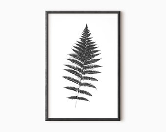 Fern Print | Black And White Botanical Wall Art | Printable Leaf Print | Instant Download    #0423