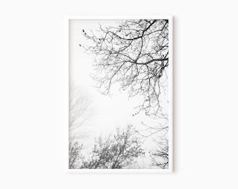 Tree Wall Art | Black And White Nature Prints | Printable Art  #0116