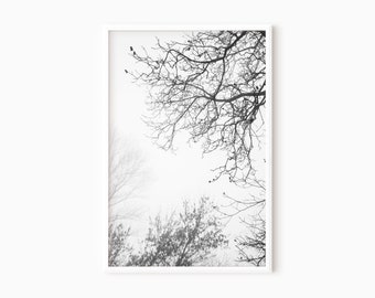 Tree Wall Art | Black And White Nature Prints | Printable Art  #0116