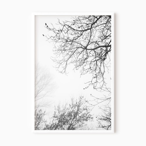 Black Tree Print Black and White Tree Wall Art Etsy