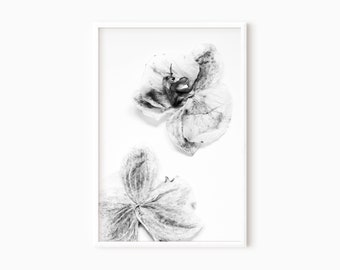 Flowers Photography | Printable Floral Wall Art | Digital Download    #0171