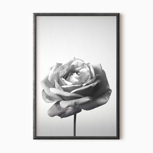 Black And White Rose Photography | Printable Flower Art Print | Digital DOWNLOAD    #0173