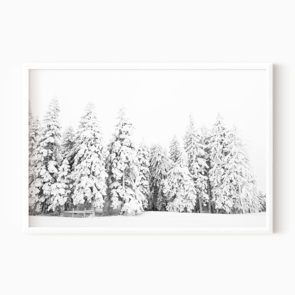 Snow Pine Tree Print | Printable Black And White Winter Wall Art DOWNLOAD   #0645