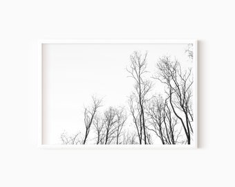 Forest Nature Print | Printable Black And White Landscape Photography DOWNLOAD    #0454